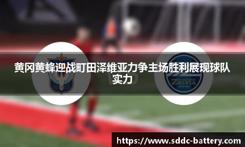 黄冈黄蜂迎战町田泽维亚力争主场胜利展现球队实力