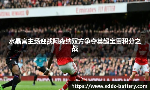 水晶宫主场迎战阿森纳双方争夺英超宝贵积分之战